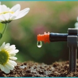 Kako napraviti automatsko zalijevanje u stakleniku